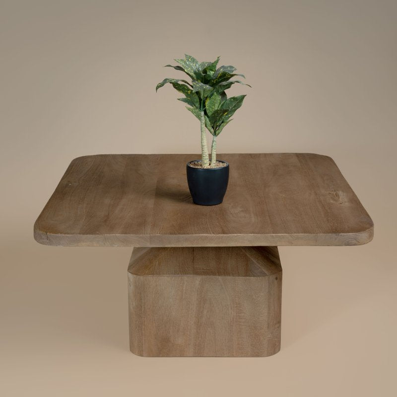 Remy Coffee Table - Rydan Interiors