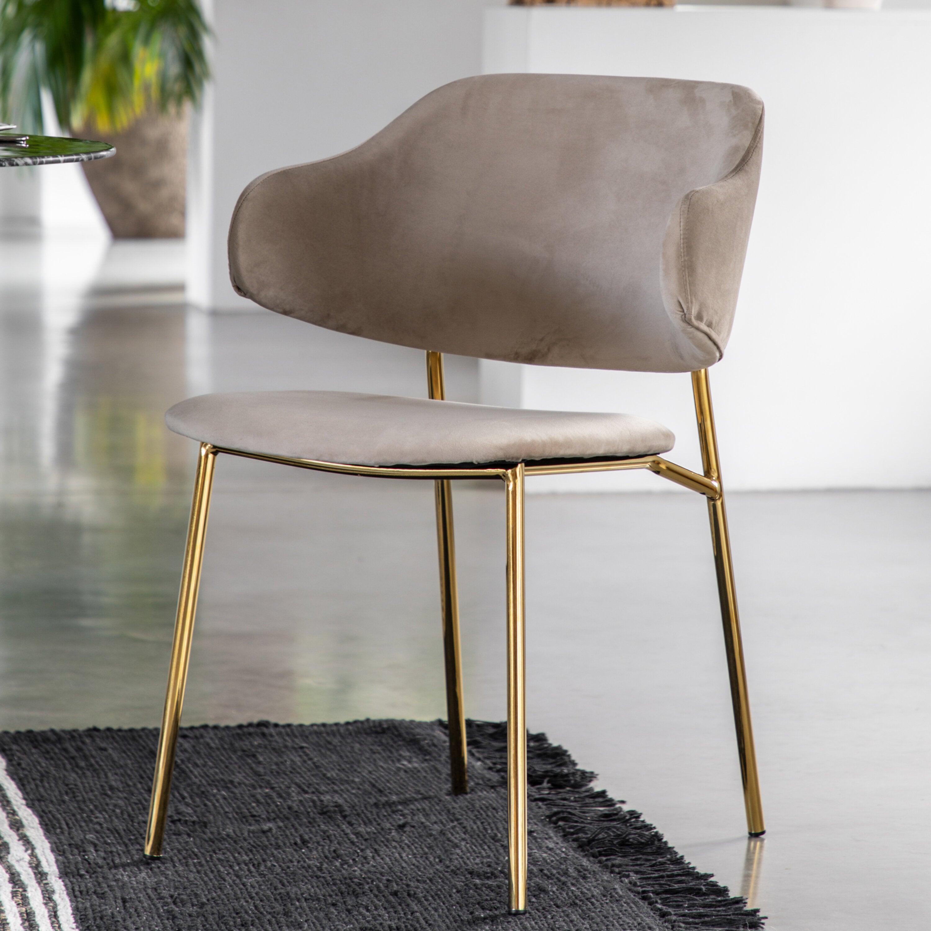Whitehall Dining Chair Taupe 2pk Rydan Interiors