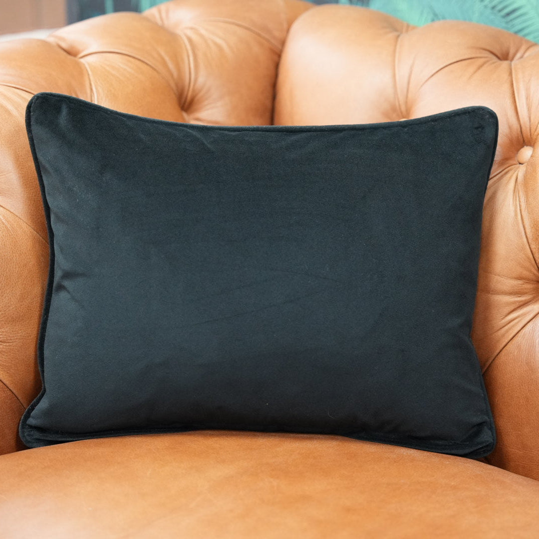 Velvet Feather Filled Cushions - Multiple Sizes
