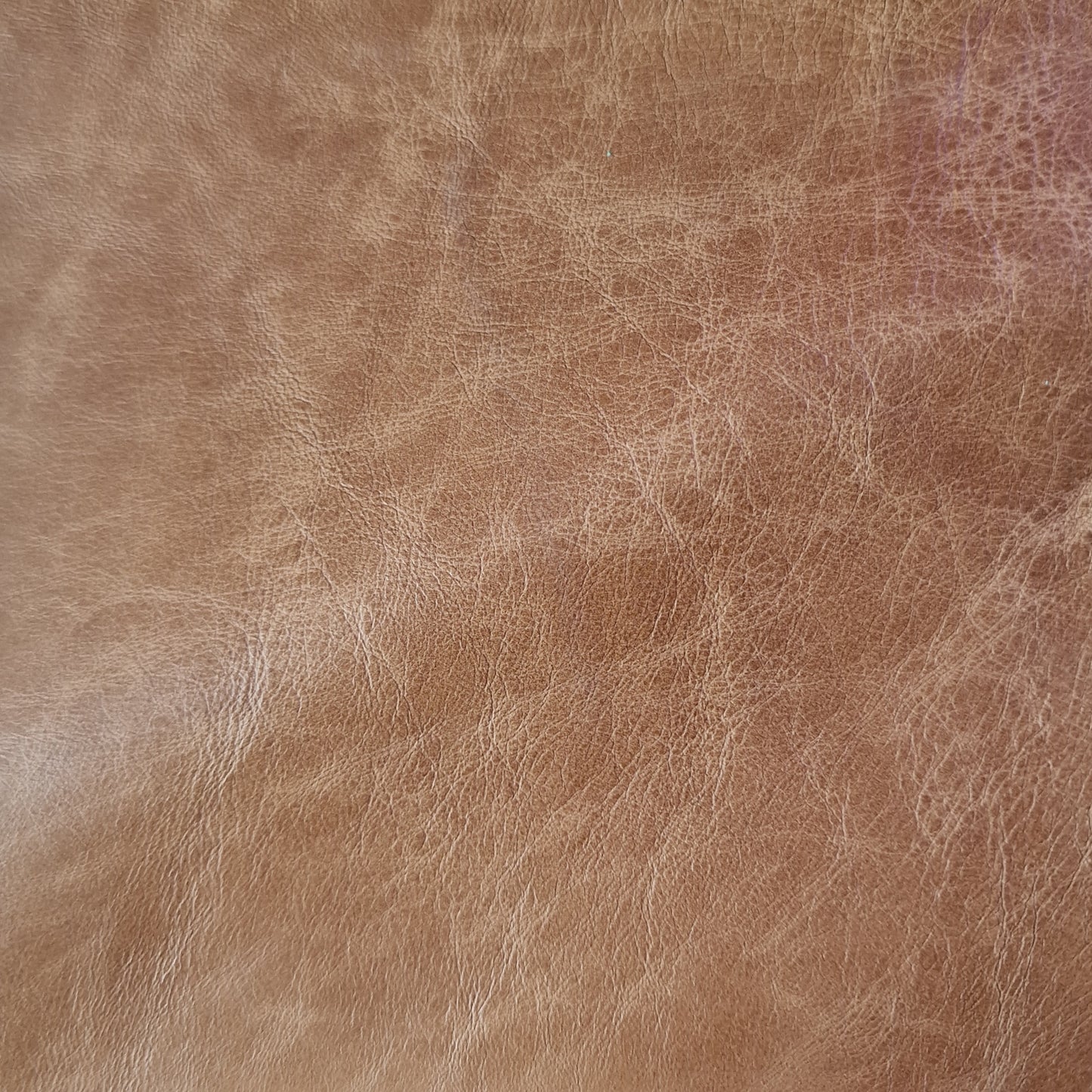 Heritage Leather Swatches - Rydan Interiors