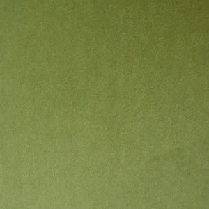 Passione Velvet Swatches - Rydan Interiors