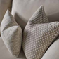 Two decorative throw pillows in neutral tones, one with a textured abstract pattern and the other with a woven geometric check pattern, resting on a light beige sofa.