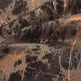 Michael Tyler | Patterned Swatches - Rydan Interiors