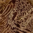 Michael Tyler | Patterned Swatches - Rydan Interiors