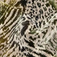 Michael Tyler | Patterned Swatches - Rydan Interiors