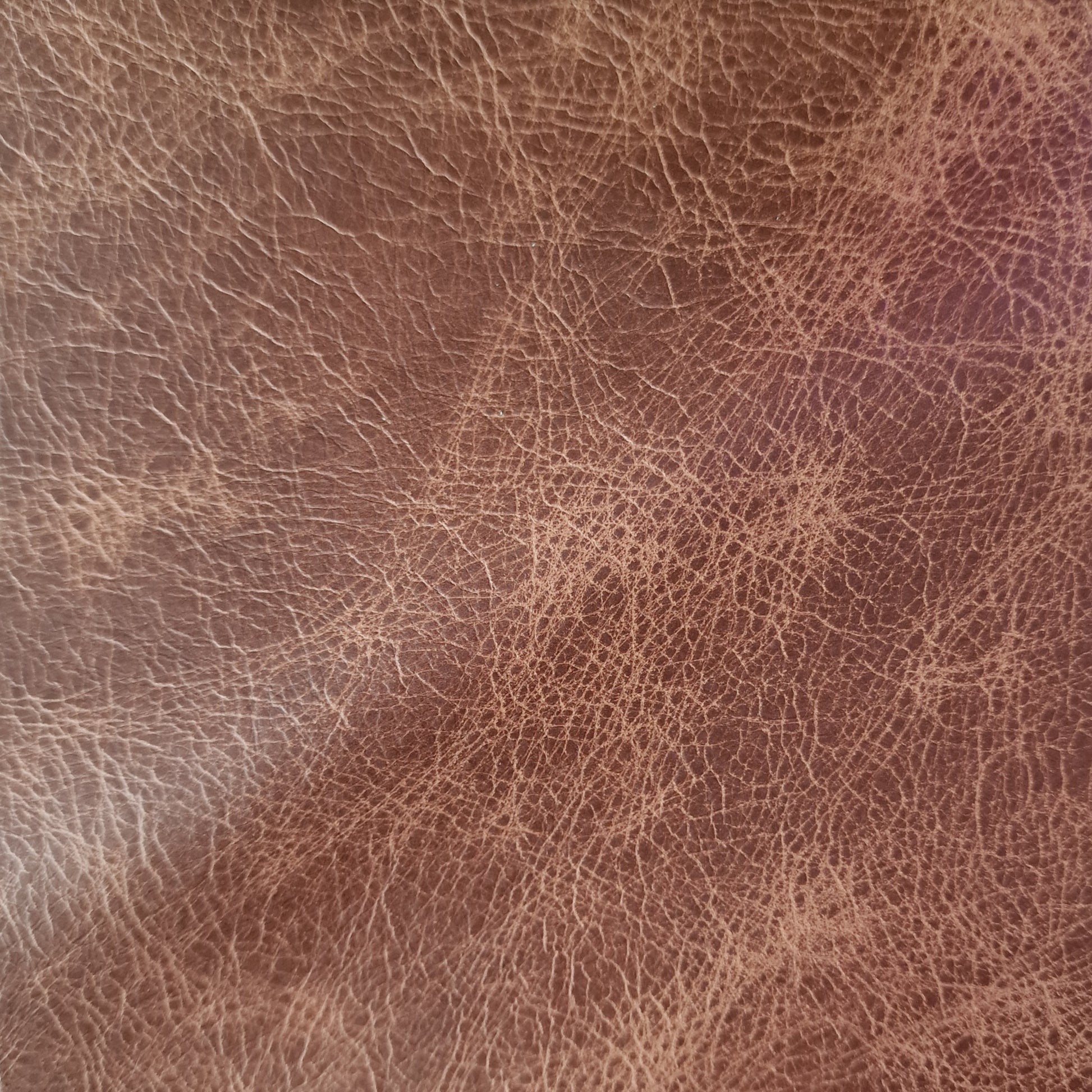 Heritage Leather Swatches - Rydan Interiors