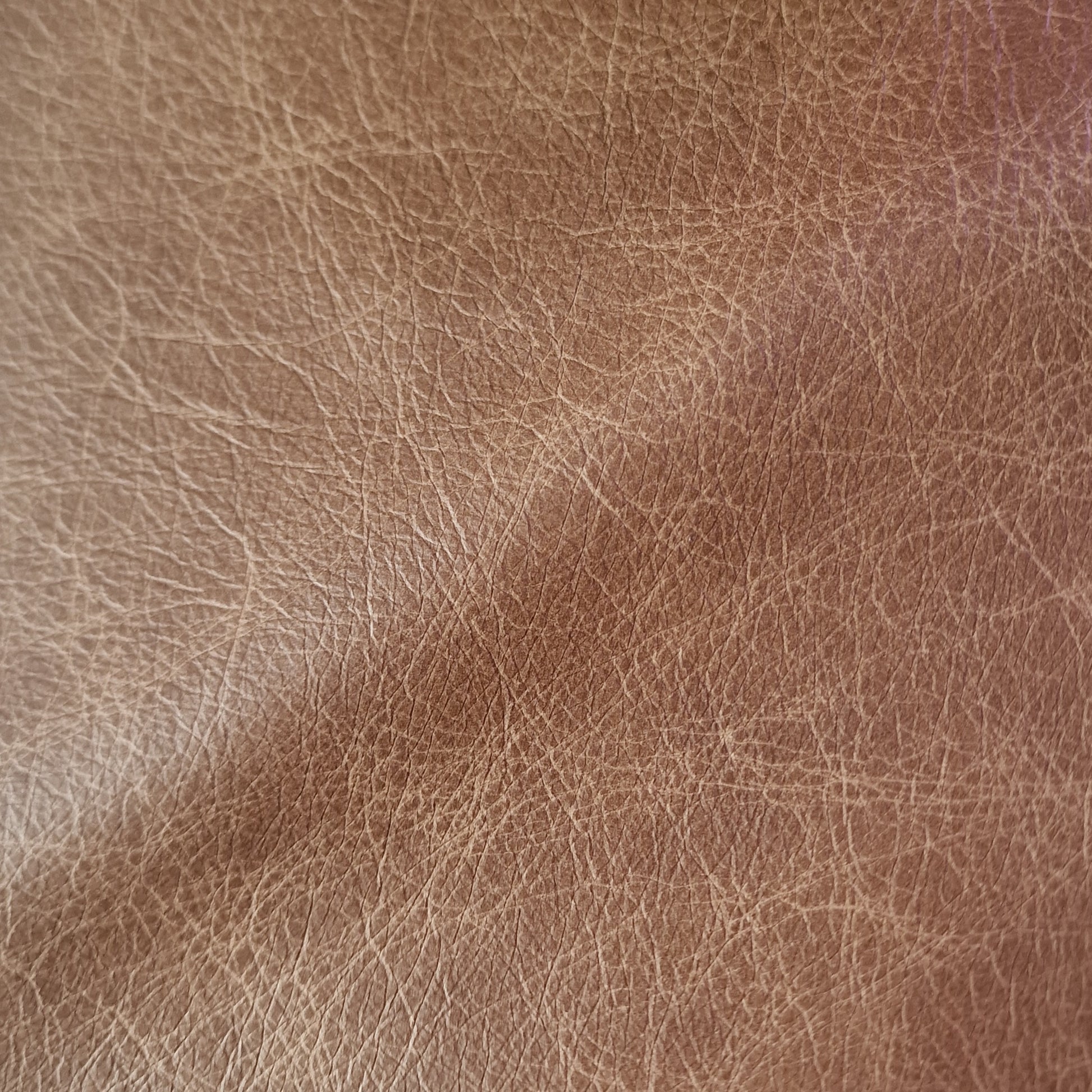 Heritage Leather Swatches - Rydan Interiors