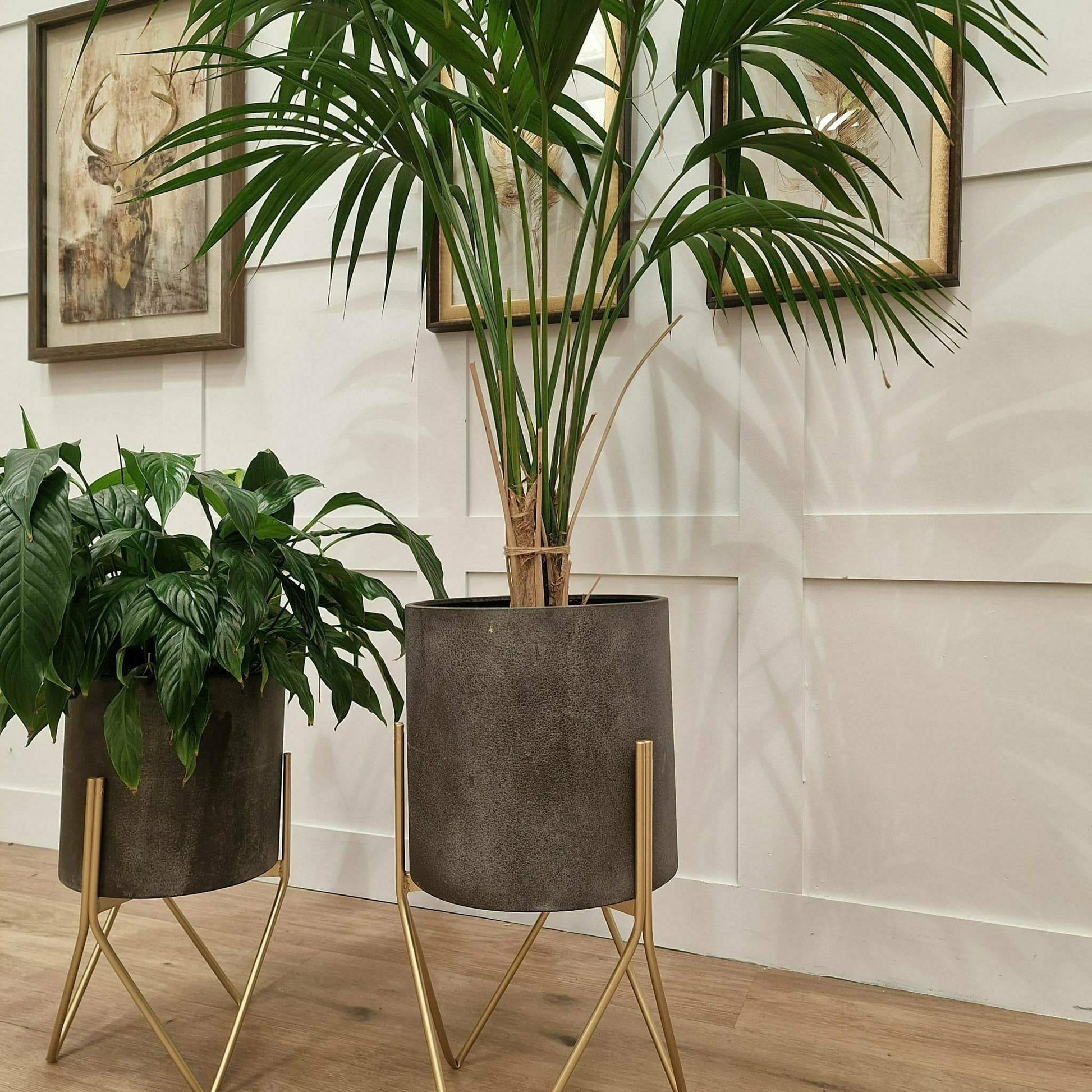 Contemporary Planters Large / Small - - Rydan Interiors